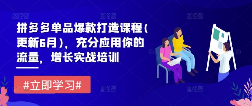 拼多多单品爆款打造课程(更新6月)，充分应用你的流量，增长实战培训-Ai创业网