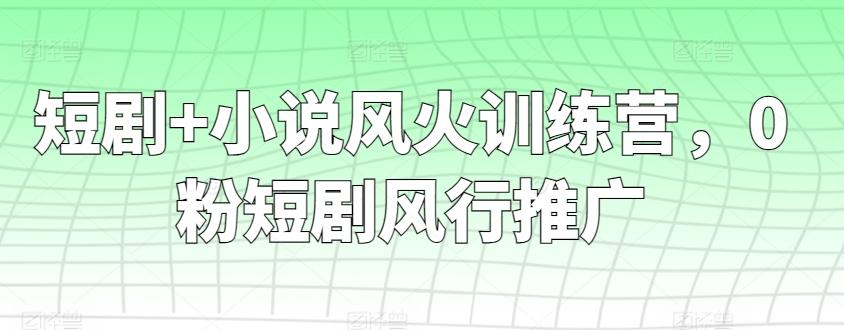 短剧+小说风火训练营，0粉短剧风行推广-Ai创业网