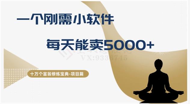 十万个富翁修炼宝典之17.一个刚需小软件，每天能卖5000+-Ai创业网