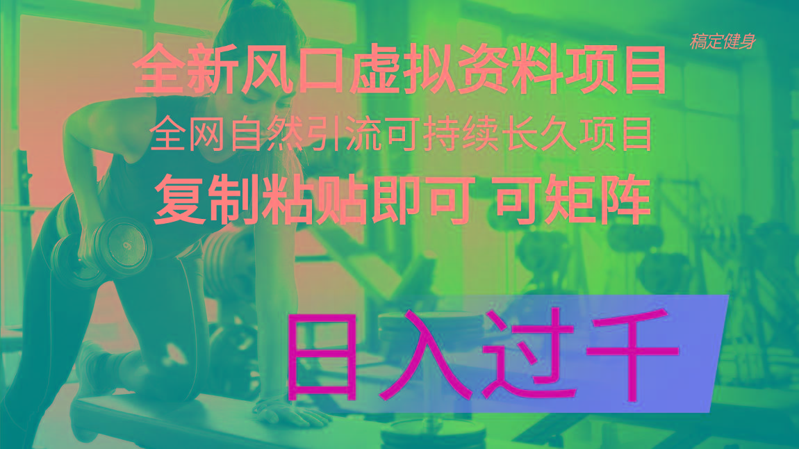全新风口虚拟资料项目 全网自然引流可持续长久项目 复制粘贴即可可矩阵...-Ai创业网