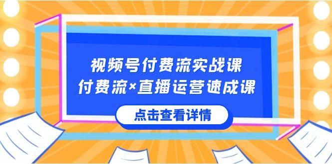 视频号付费流实战课，付费流×直播运营速成课，让你快速掌握视频号核心运营技能-Ai创业网