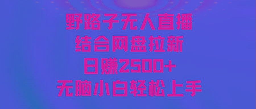 无人直播野路子结合网盘拉新，日赚2500+多平台变现，小白无脑轻松上手操作-Ai创业网