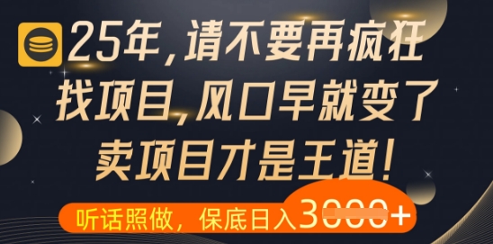 什么？25年你还在疯狂找项目做，醒醒吧，看完这些你全都懂了【揭秘】-Ai创业网