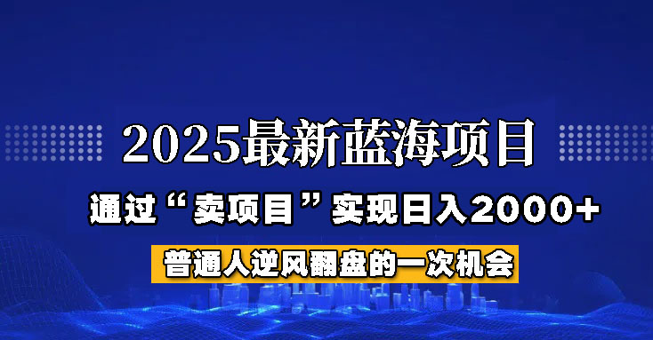 2025年蓝海项目，如何通过“网创项目”日入2000+-Ai创业网