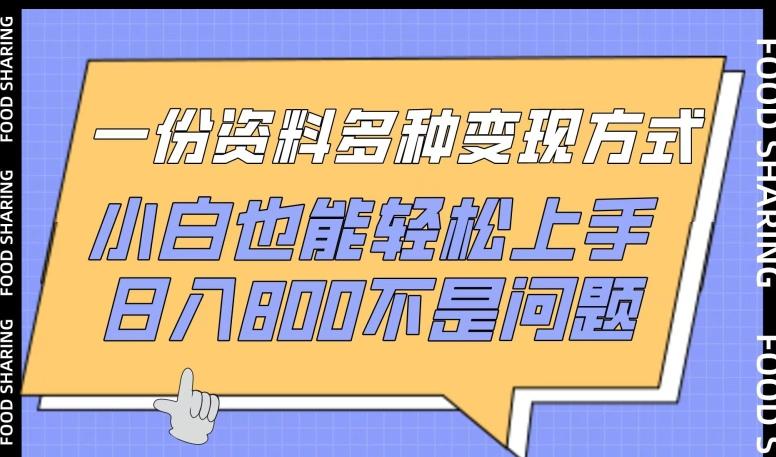 一份资料多种变现方式，小白也能轻松上手，日入800不是问题【揭秘】-Ai创业网