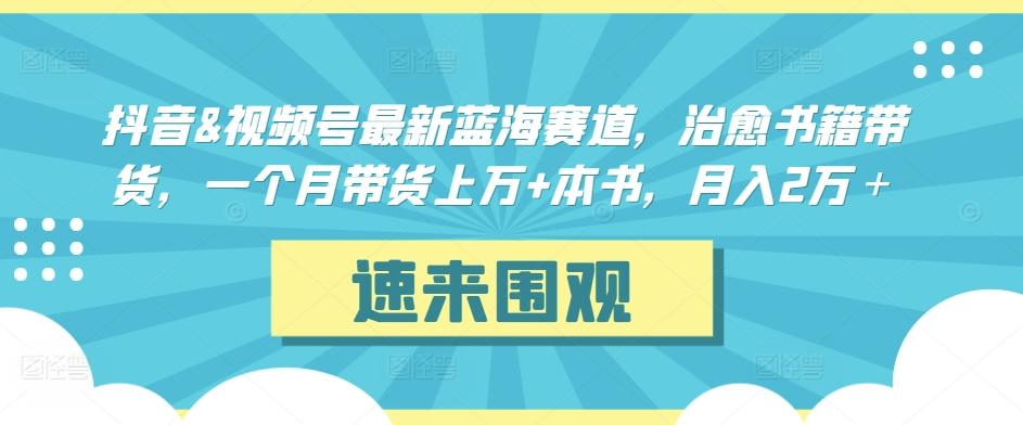 抖音&视频号最新蓝海赛道，治愈书籍带货，一个月带货上万+本书，月入2万＋【揭秘】-Ai创业网