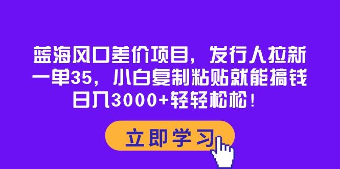 蓝海风口差价项目，发行人拉新，一单35，小白复制粘贴就能搞钱！日入30…-Ai创业网