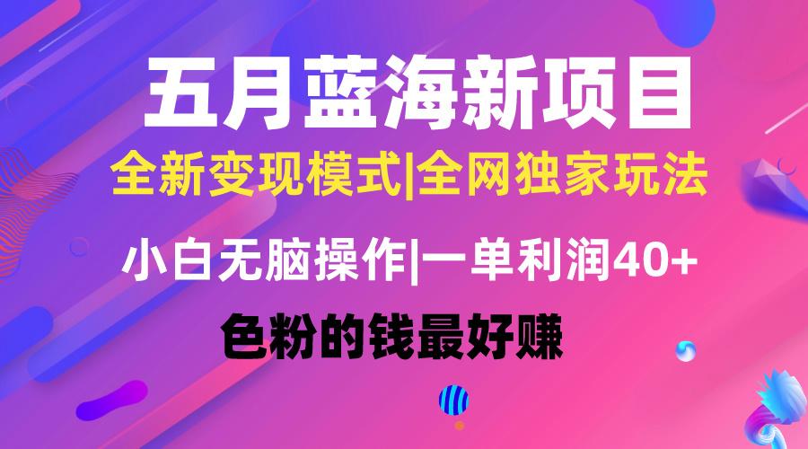 五月蓝海项目全新玩法，小白无脑操作，一天几分钟，矩阵操作，月入4万+-Ai创业网