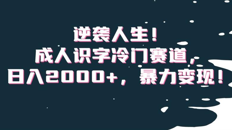 逆袭人生！成人识字冷门赛道，日入2000+，暴力变现！【揭秘】-Ai创业网