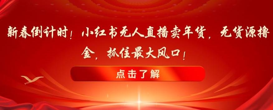 新春倒计时！小红书无人直播卖年货，无货源撸金，抓住最大风口【揭秘】-Ai创业网
