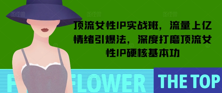 顶流女性IP实战班，流量上亿情绪引爆法，深度打磨顶流女性IP硬核基本功-Ai创业网