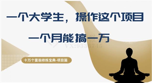 十万个富翁修炼宝典之4.一个大学生操作这个项目，一个月能搞一万-Ai创业网