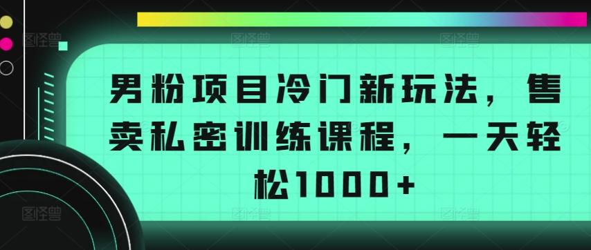 男粉项目冷门新玩法，售卖私密训练课程，一天轻松1000+【揭秘】-Ai创业网