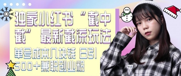 最新小红书截流玩法 独家截中截 单号成本几块钱 日引500+CY粉JZ粉-Ai创业网