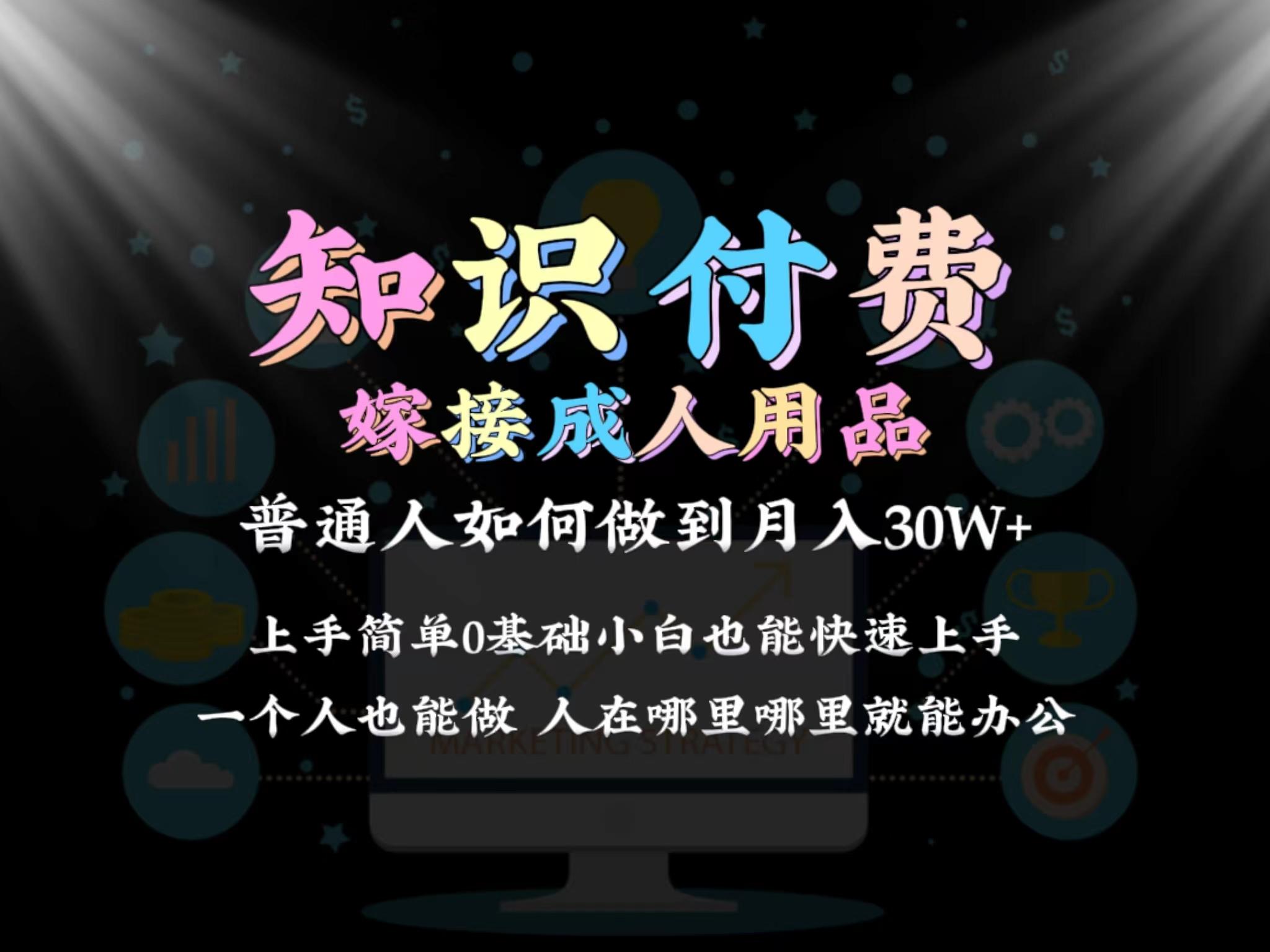 2024普通人做知识付费结合成人用品如何实现单月变现30w 保姆教学1.0-Ai创业网