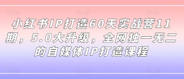 小红书IP打造60天实战营11期，5.0大升级，全网独一无二的自媒体IP打造课程-Ai创业网