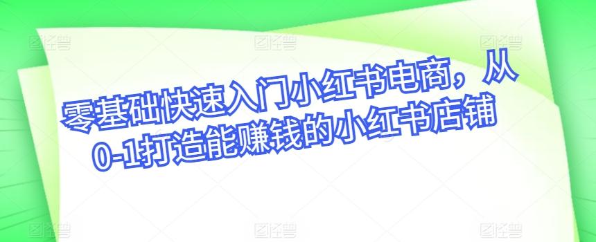 零基础快速入门小红书电商，从0-1打造能赚钱的小红书店铺-Ai创业网