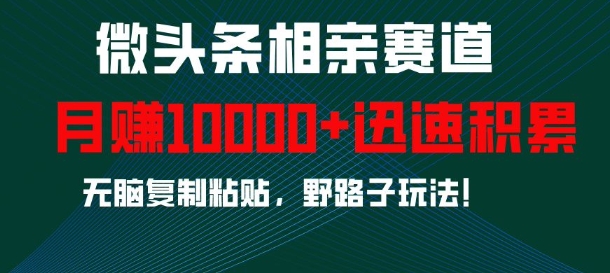 微头条相亲赛道，迅速积累，无脑复制粘贴，野路子玩法，月入1w-Ai创业网