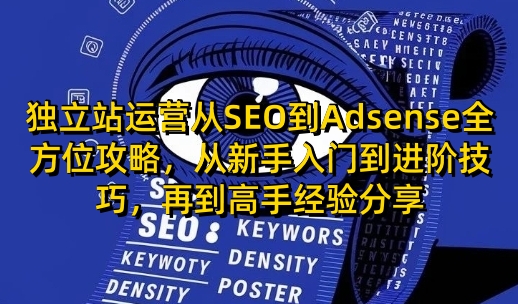 独立站运营从SEO到Adsense全方位攻略，从新手入门到进阶技巧，再到高手经验分享-Ai创业网