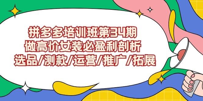(9333期)拼多多培训班第34期：做高价女装必盈利剖析  选品/测款/运营/推广/拓展-Ai创业网