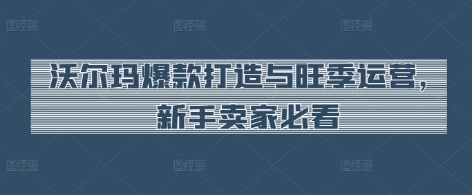 沃尔玛爆款打造与旺季运营，新手卖家必看-Ai创业网