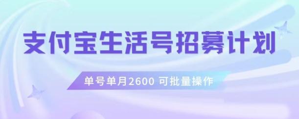 支付宝生活号作者招募计划，单号单月2600，可批量去做，工作室一人一个月轻松1w+【揭秘】-Ai创业网
