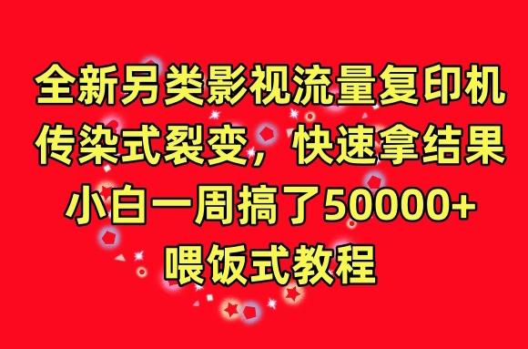全新另类影视流量复印机，传染式裂变，快速拿结果，小白一周搞了50000+，喂饭式教程【揭秘】-Ai创业网