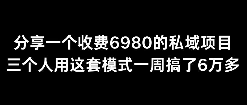 分享一个外面卖6980的私域项目三个人用这套模式一周搞了6万多【揭秘】-Ai创业网