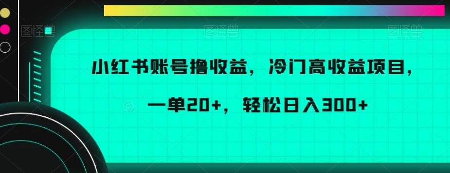 小红书账号撸收益，冷门高收益项目，一单20+，轻松日入300+【揭秘】-Ai创业网