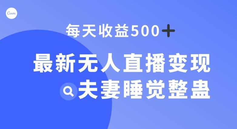 最新无人直播变现，夫妻睡觉整蛊，每天躺赚500+【揭秘】-Ai创业网