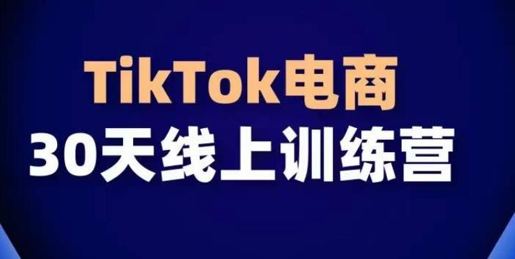 TikTok电商带货30天线上课，不可错过的全球流量洼地！-Ai创业网