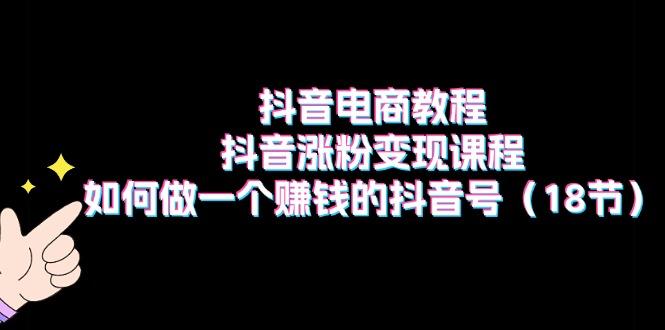 抖音电商教程：抖音涨粉变现课程：如何做一个赚钱的抖音号(18节-Ai创业网