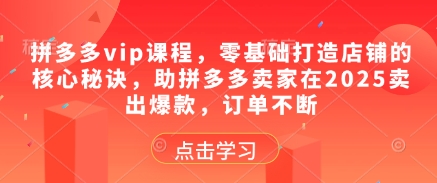 拼多多vip课程，零基础打造店铺的核心秘诀，助拼多多卖家在2025卖出爆款，订单不断-Ai创业网