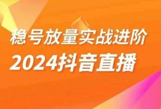 稳号放量实战进阶—2024抖音直播，直播间精细化运营的几大步骤-Ai创业网