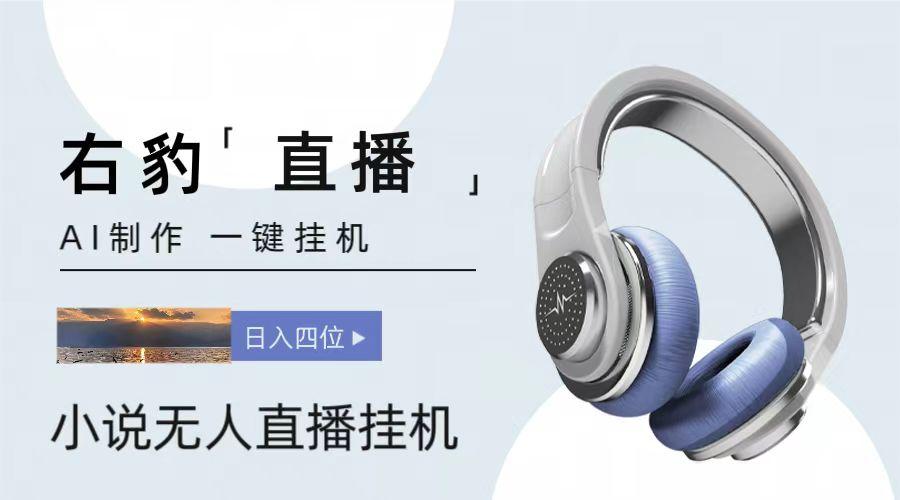 右豹小说无人直播挂机吸金项目，简单易行收益稳定， 月入1000+-Ai创业网