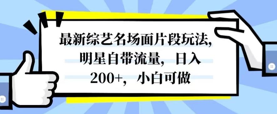 最新综艺名场面片段玩法，明星自带流量，日入200+，小白可做【揭秘】-Ai创业网