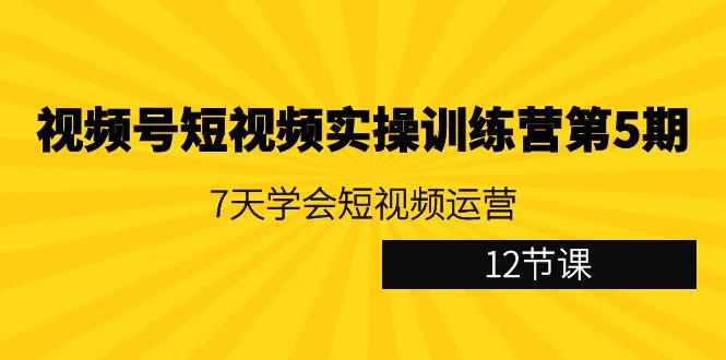 视频号短视频实操训练营第5期：7天学会短视频运营(12节课)-Ai创业网