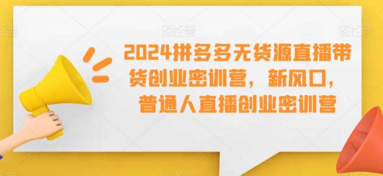 2024拼多多无货源直播带货创业密训营，新风口，普通人直播创业密训营-Ai创业网
