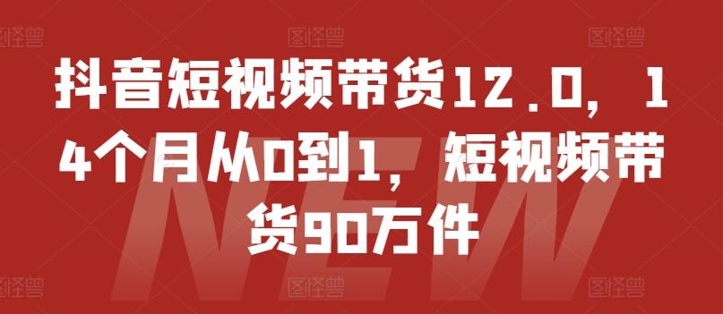 抖音短视频带货12.0，14个月从0到1，短视频带货90万件-Ai创业网