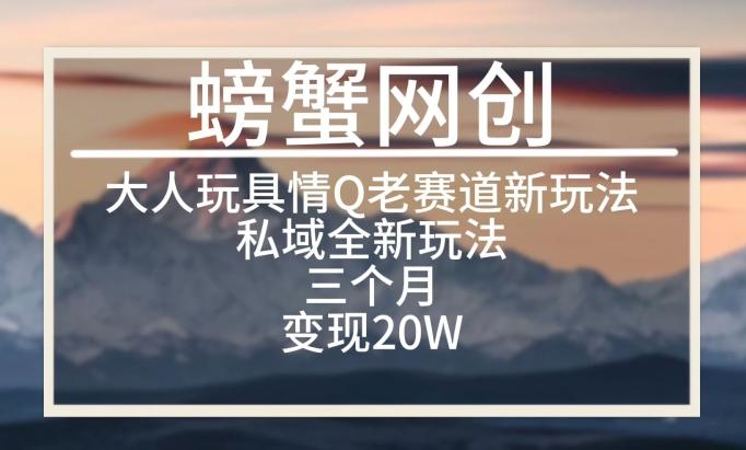 大人玩具情Q用品赛道私域全新玩法，三个月变现20W，老项目新思路【揭秘】-Ai创业网