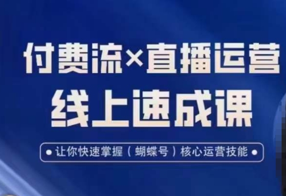 视频号付费流实操课程，付费流✖️直播运营速成课，让你快速掌握视频号核心运营技能-Ai创业网
