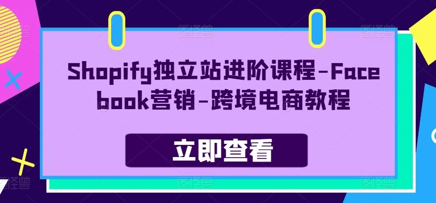 Shopify独立站进阶课程-Facebook营销-跨境电商教程-Ai创业网