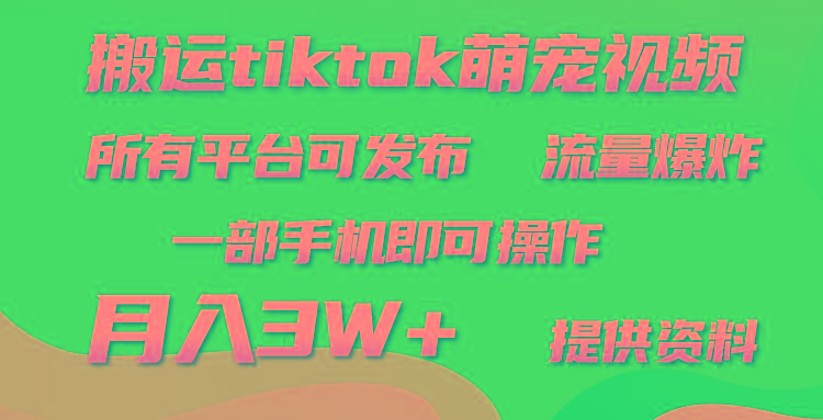(9618期)搬运Tiktok萌宠类视频，一部手机即可。所有短视频平台均可操作，月入3W+-Ai创业网