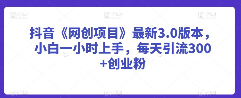 抖音《网创项目》最新3.0版本，小白一小时上手，每天引流300+创业粉【揭秘】-Ai创业网