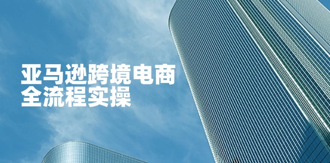 亚马逊跨境电商全流程实操，教你从零开始，掌握店铺运营与广告技巧-Ai创业网