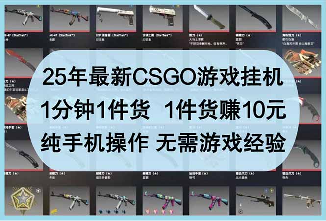 25年最新CSGO游戏挂机，1分钟1件货，1件货赚10元 纯手机操作 无需游戏经验-Ai创业网