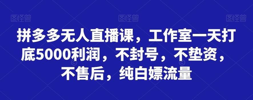 拼多多无人直播课，工作室一天打底5000利润，不封号，不垫资，不售后，纯白嫖流量-Ai创业网