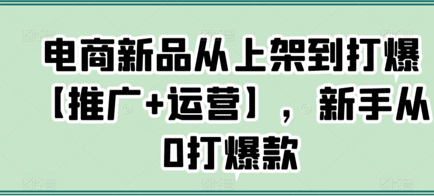 电商新品从上架到打爆【推广+运营】，新手从0打爆款-Ai创业网