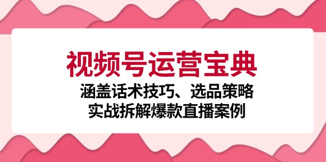 视频号运营宝典：涵盖话术技巧、选品策略、实战拆解爆款直播案例-Ai创业网