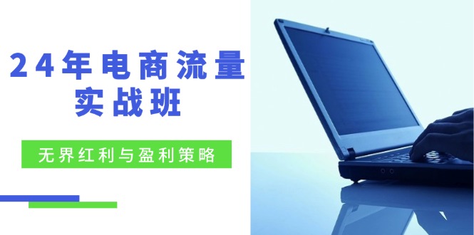 24年电商流量实战班：无界 红利与盈利策略，终极提升/关键词优化/精准…-Ai创业网